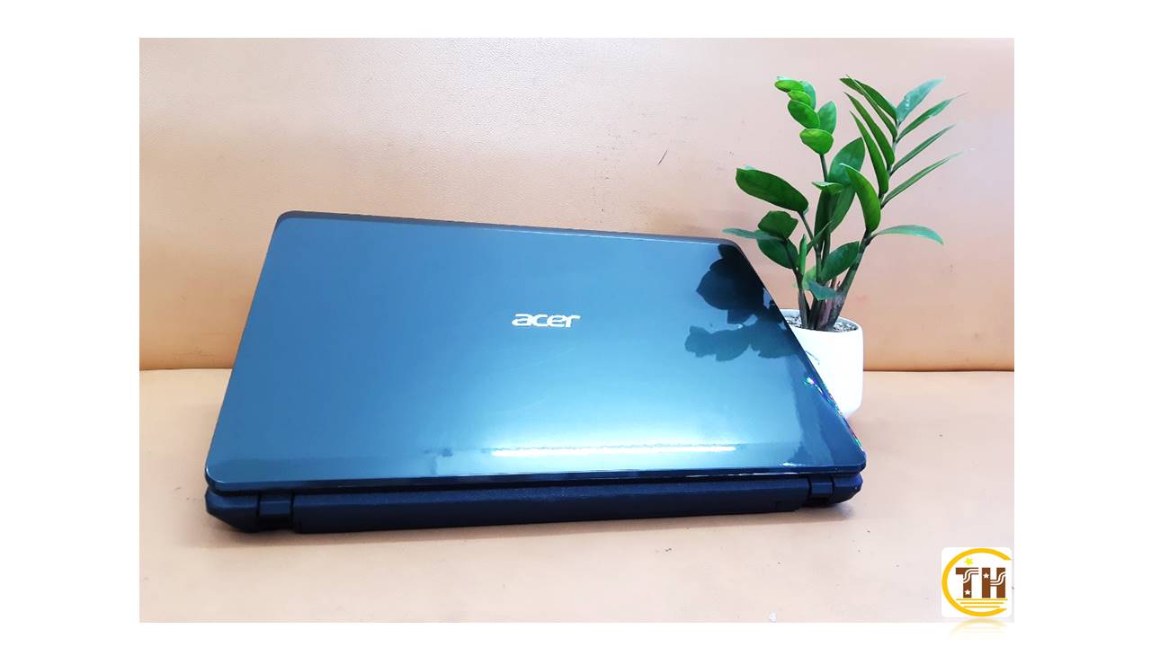 Acer